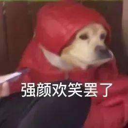当同事问我今天过得怎么样时我be like：+强颜欢笑表情包，拿图吱吱🫠 ​​