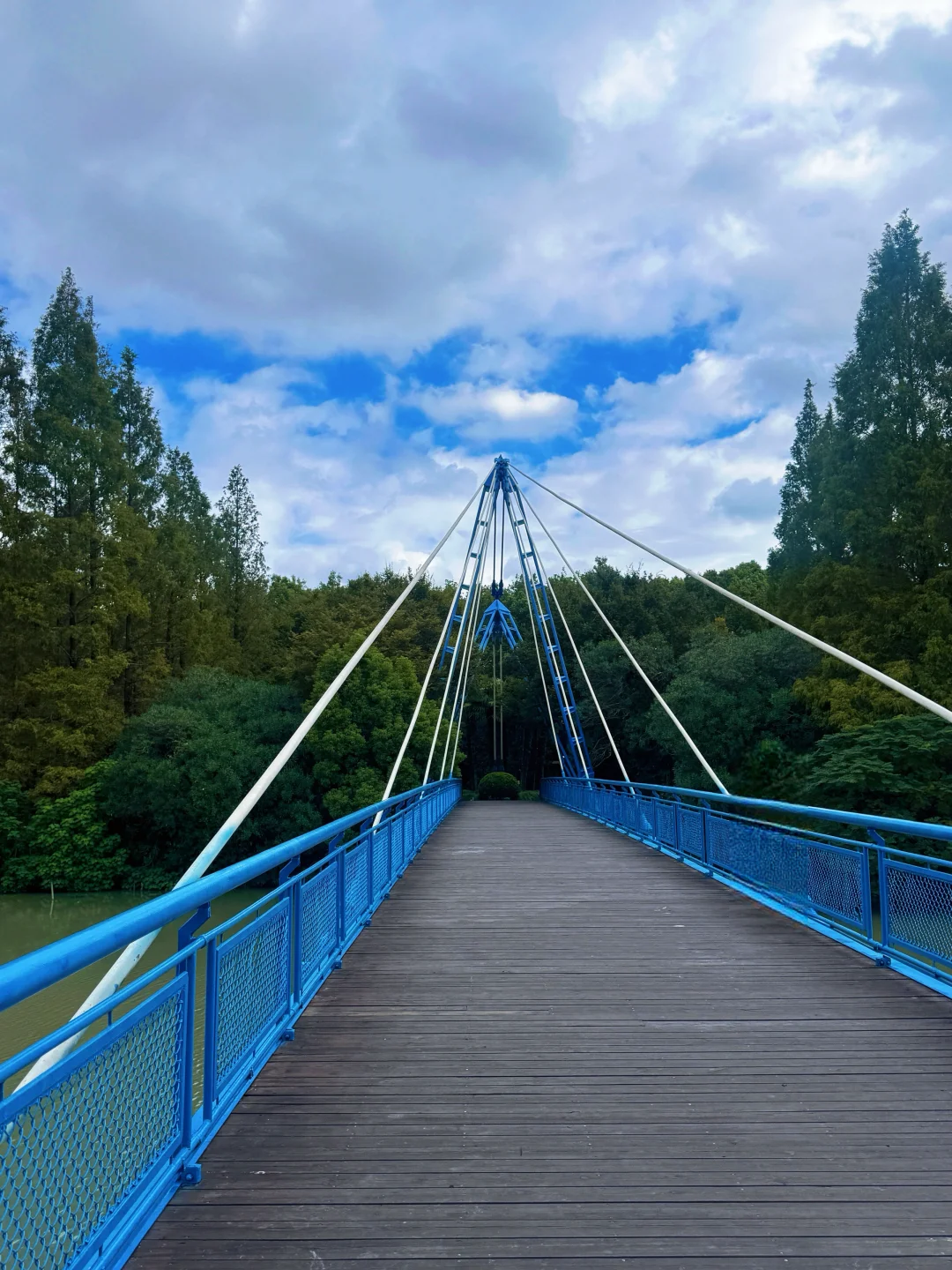 庆祝上海降温，终于可以户外跑步啦[大笑R][大笑R]