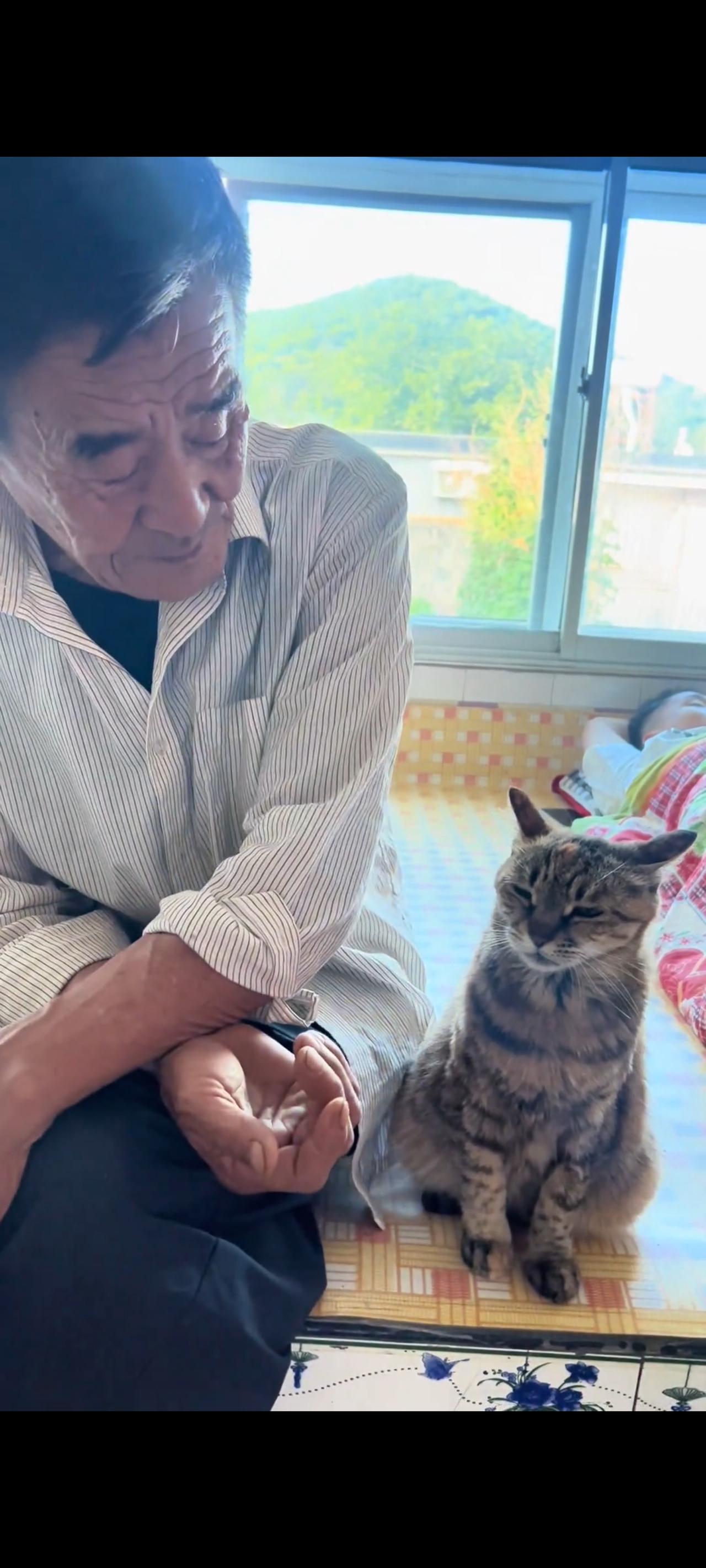 一只14岁的老猫和一位75岁的年迈老人，她们究竟经历了多少磨难，才能够让她们一起