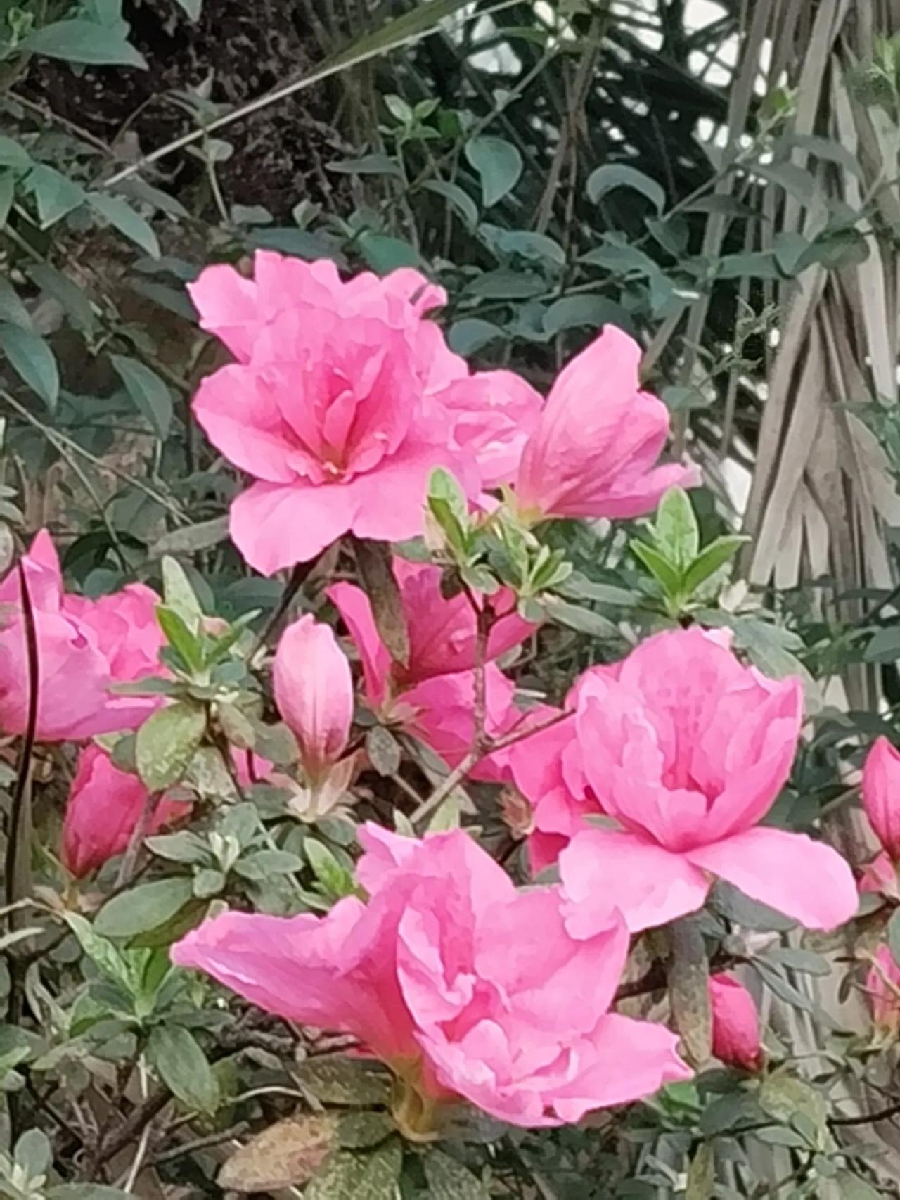 祝福，是一束美丽的鲜花；惦记，是一种情感的升华。送上我的祝福，寄去我的牵挂！新的