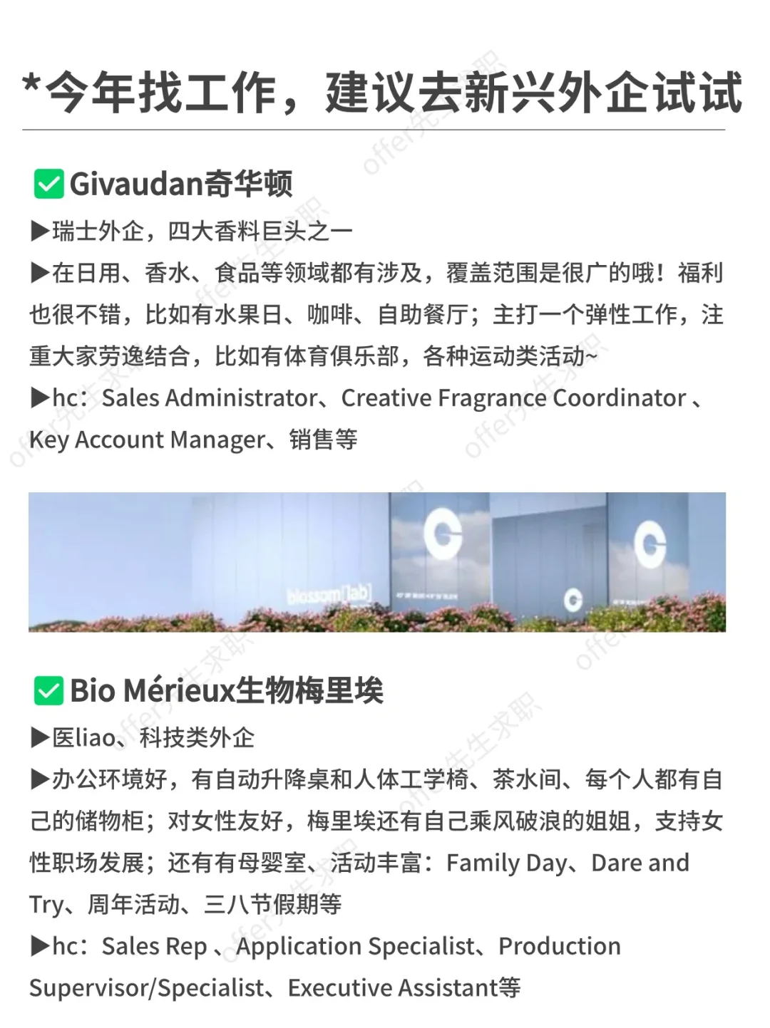 今年找工作，建议去新兴外企试试