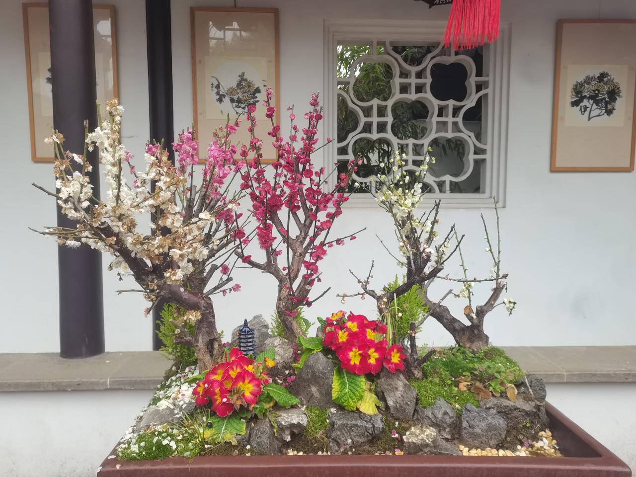 破镜难再重圆，枯木却可逢春。
所以，人啊，要做勇于重生的自己！


记录我的20