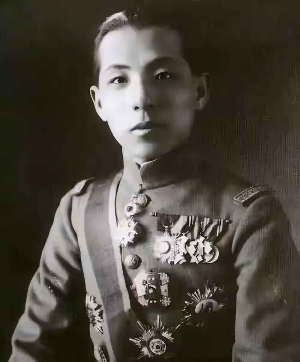 为何晚年徐向前会透露说：假如没有西安事变，中央保留了一张王牌

1990年，90