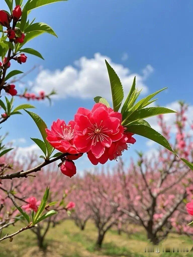 好好生活，天天开心
 
愿你放下烦恼，远离纠结，
天天开开心心，快快乐乐，
认真