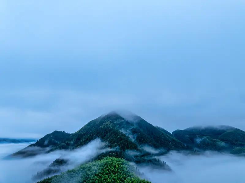 生命何其短暂，
刹时就消失无踪，
好像云雾，也如流水，
没有人掌握它；

生命不