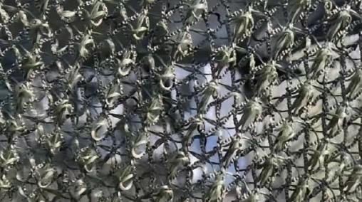谁能想到？肆虐战场、让各国高端防空系统头疼不已的低空无人机，最后栽在了一张看起来