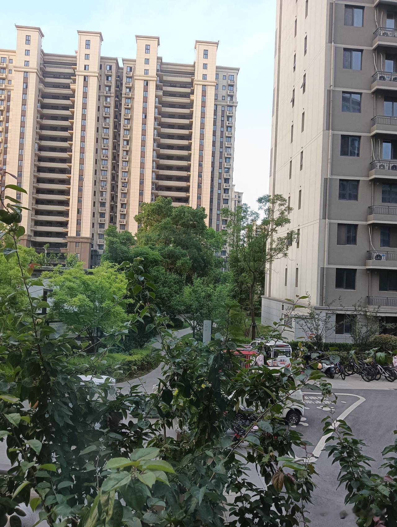 现代都市的绿意盎然，高楼林立中的宁静一隅。