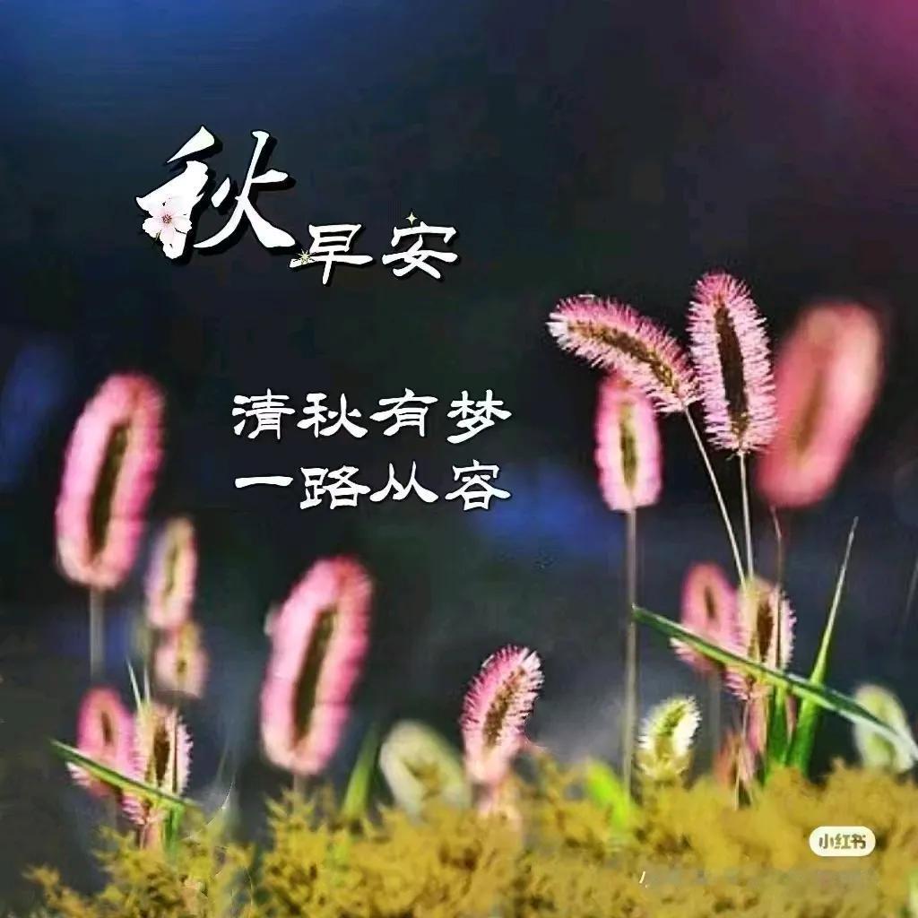 夜晚无聊、闲来无事，可进来看看。。。
无眠的孤独。。。。
#也说说孤独的滋味#