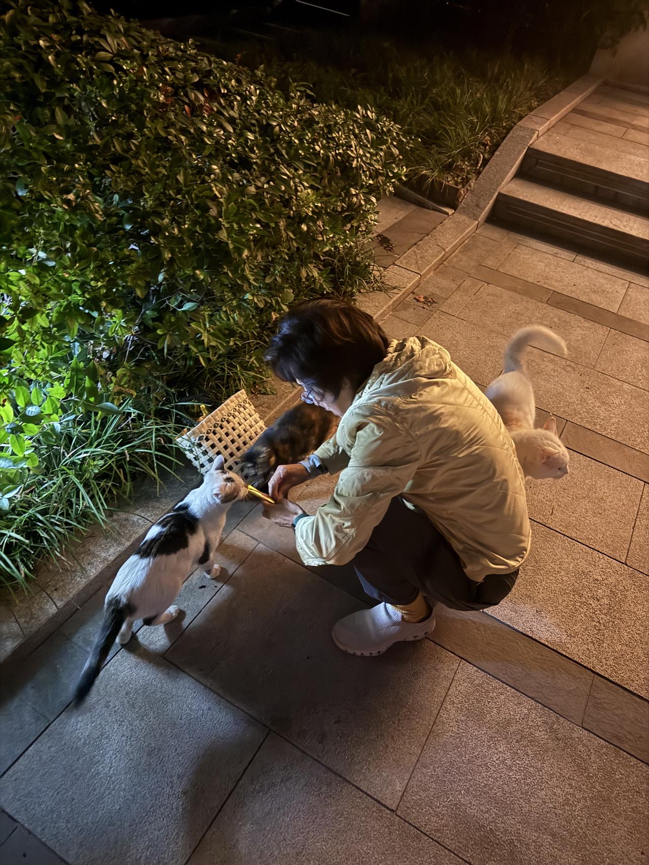 一个人,怎样美好的享受独居生活?最近我一个人在武汉，独居的生活太爽了。
工作的时