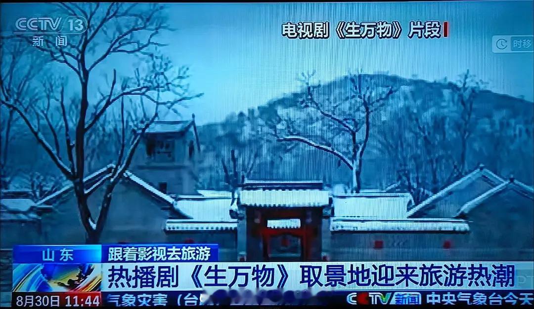 杨幂《生万物》上了央视新闻🐮 ​​​