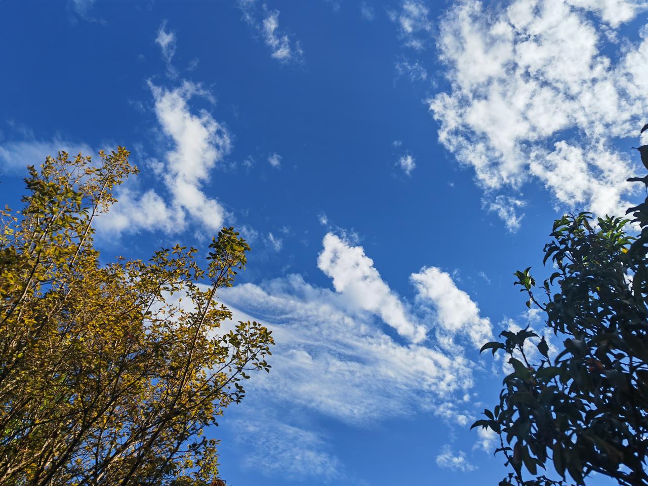 我翻到一张超绝的天空照！那是之前在葛店拍到的“阴阳天”。一半是澄澈的克莱因蓝，另