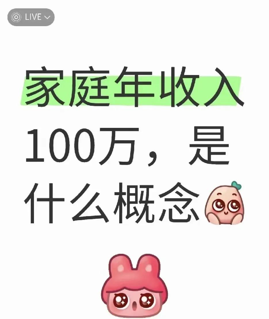 年入百万的家庭是什么概念？
有没有这个等级的大佬分享一下！
虽然没有年入百万，但