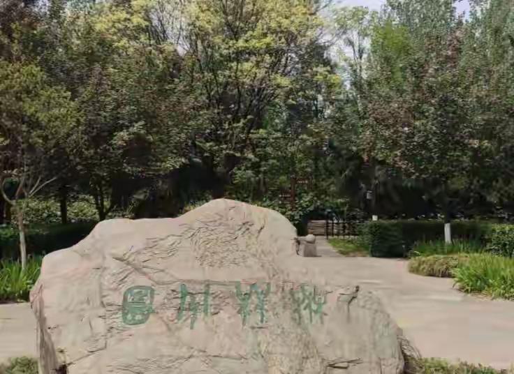 这石头上刻的都是啥字呀？有人认识吗？