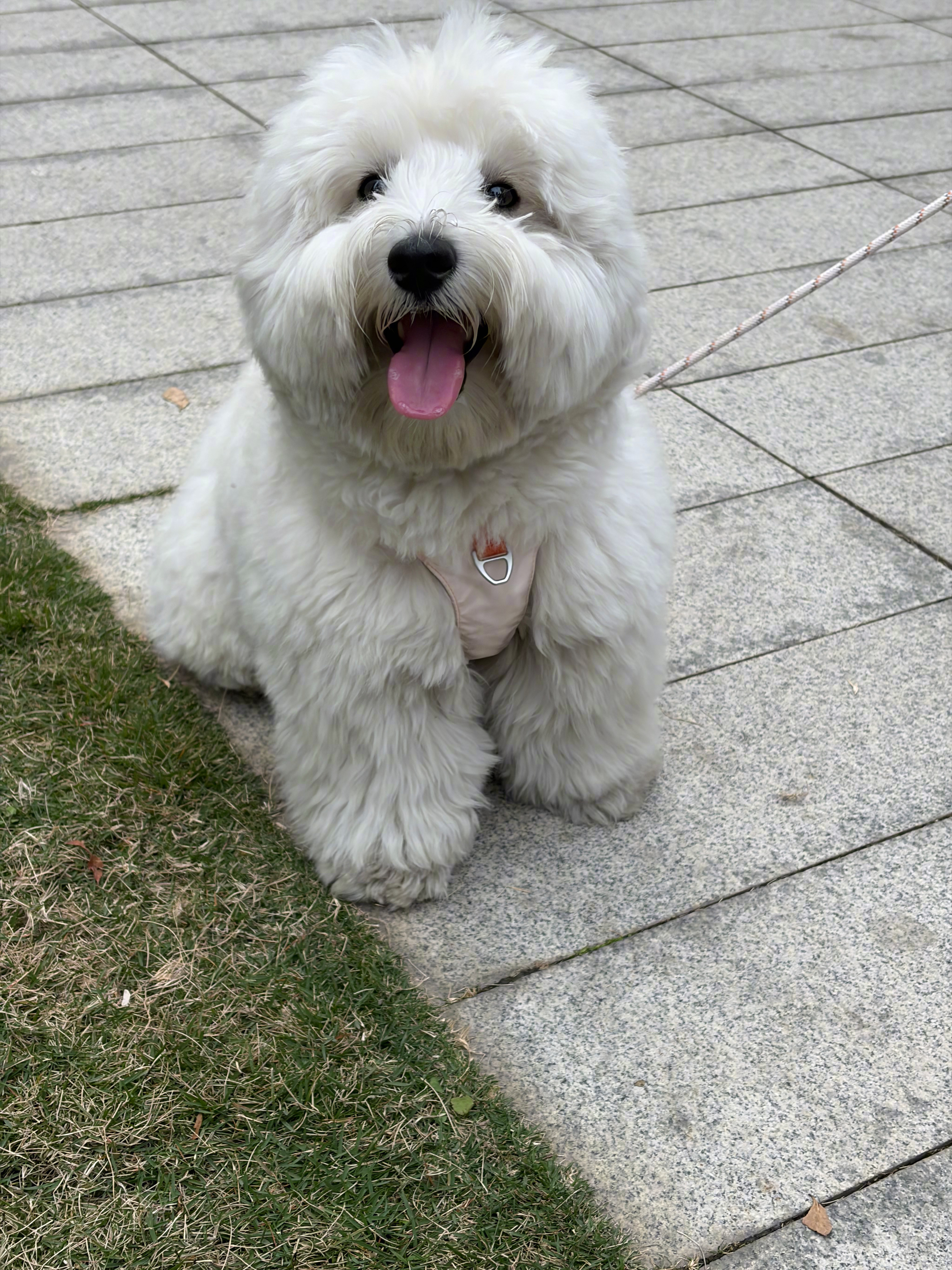 祝大家开工大吉，我们初十开工。🧧 深圳