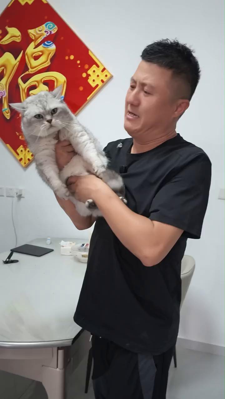 继续加大力度，看看手机摔了不是，不会跳舞的猫扔了。