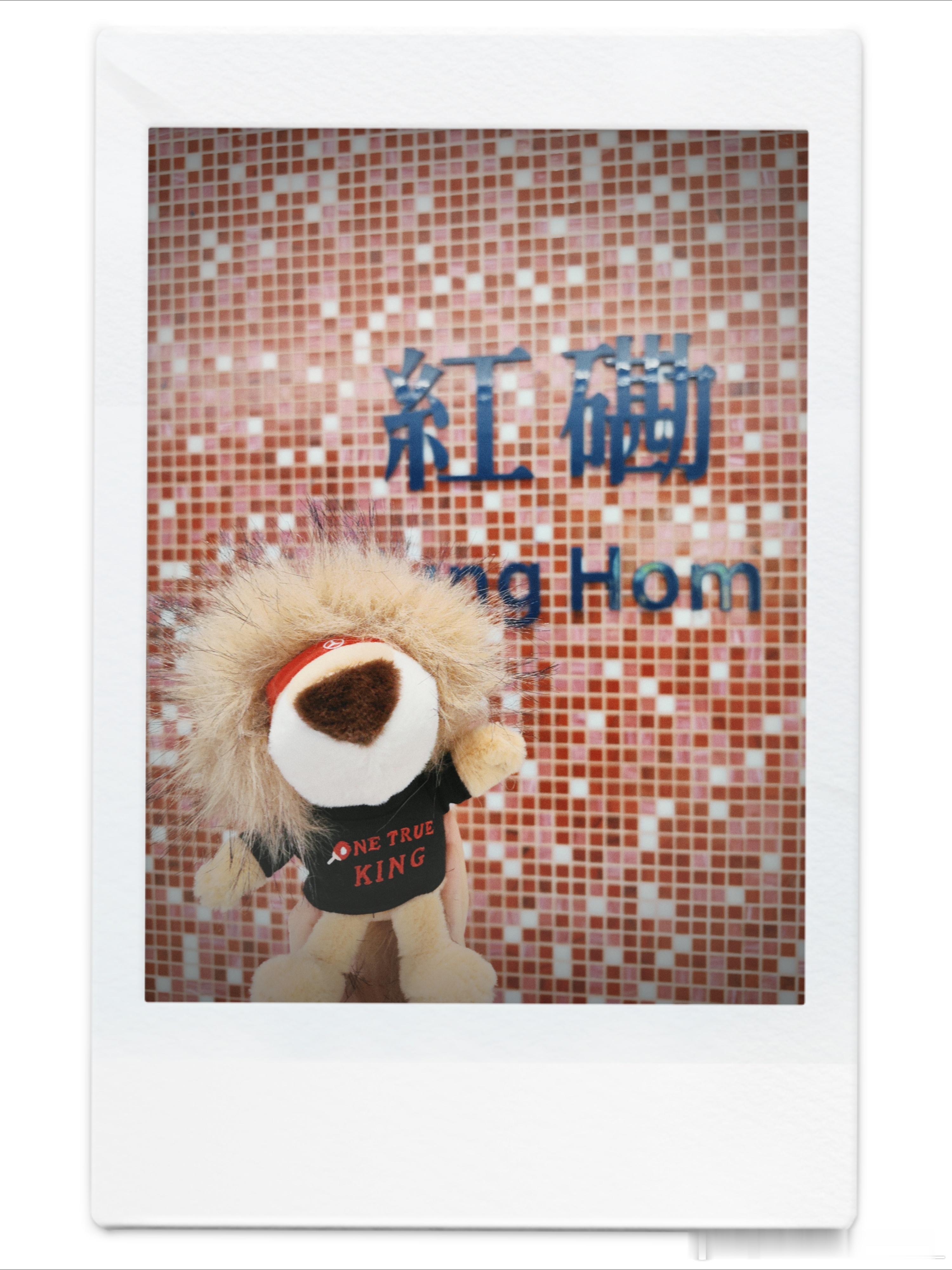 小狮子环港记DAY1 打卡红磡体育馆🏟️ 同款雪糕超好吃😋提前给小爱换上圣诞