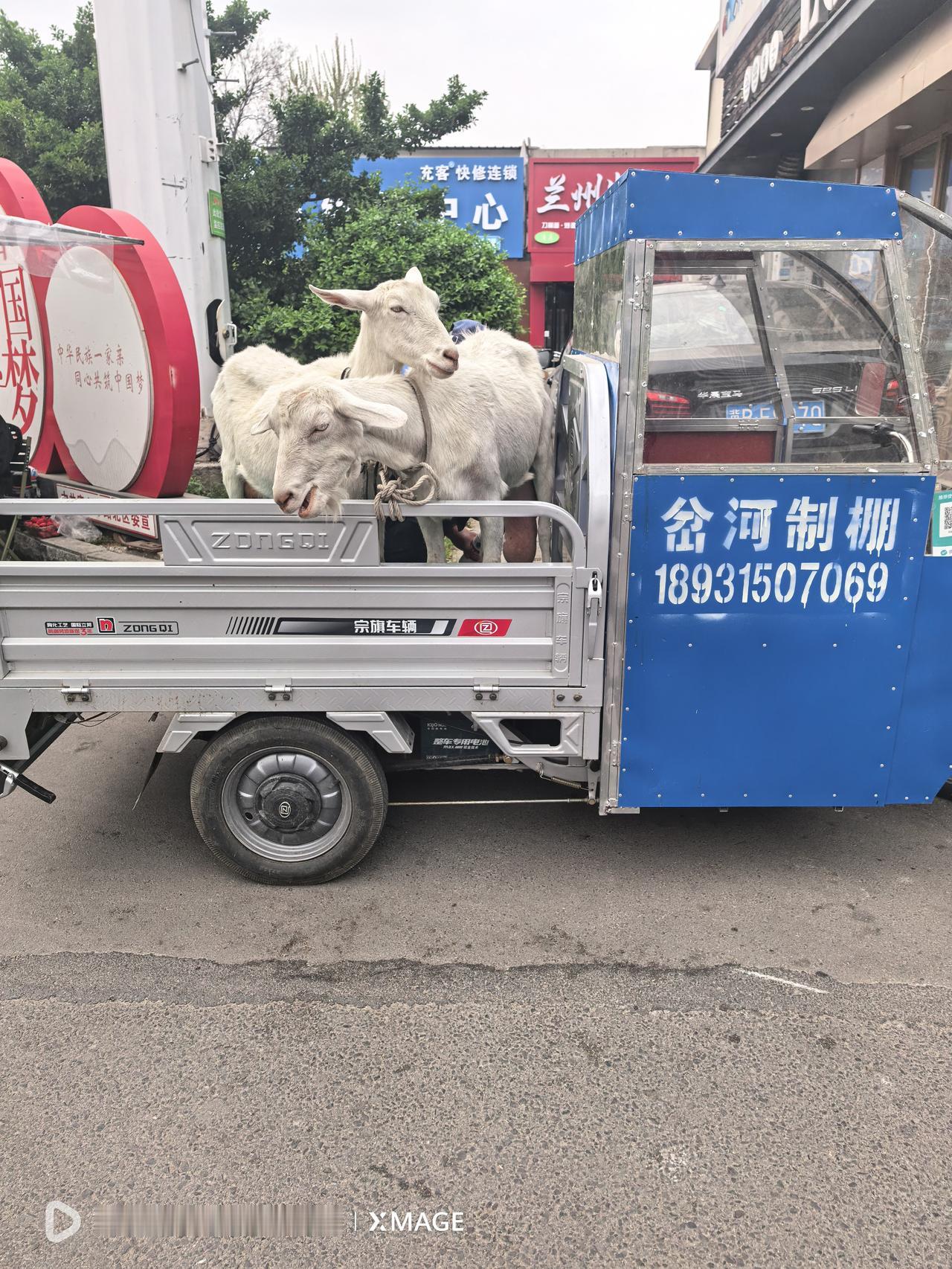 近段时间，在大里路与西山道交叉路口东北角，有一位60岁左右的老农，用三轮车拉着两
