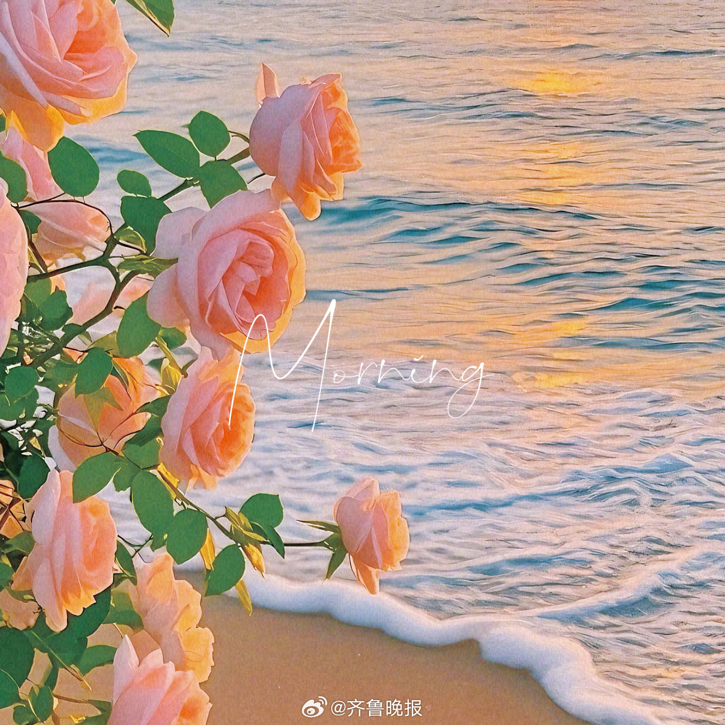 在繁华中自律在落魄中自愈[太阳]#早安# ​​​