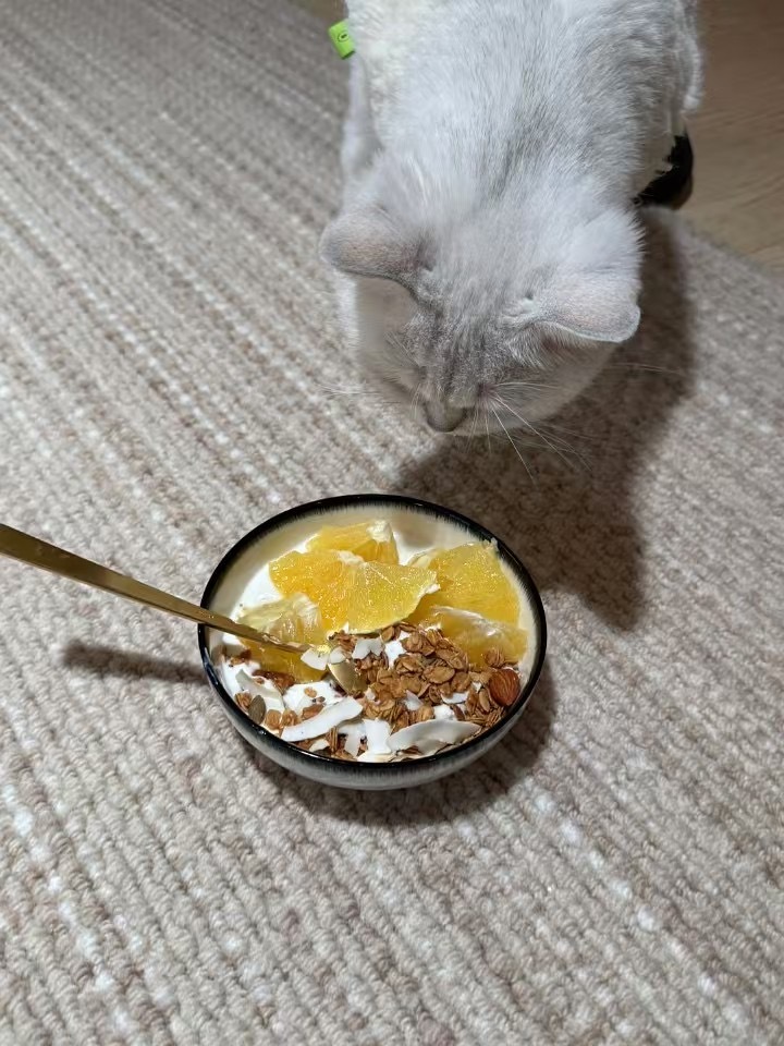 早安  各位🌞 