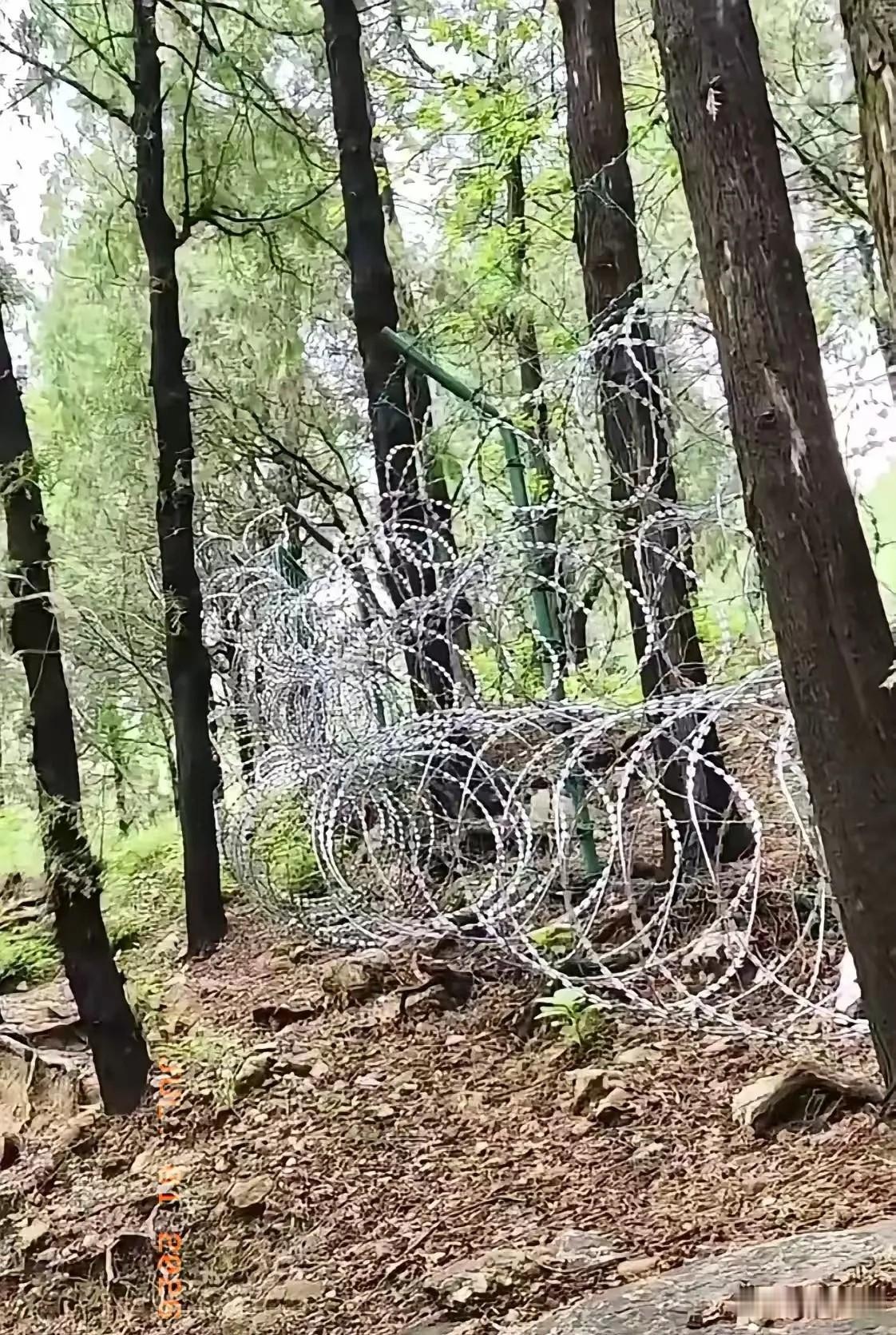 太好了！舆论呼声得到了重视，整改动作迅速落地：6月30日，泰山管委会正式表态，将