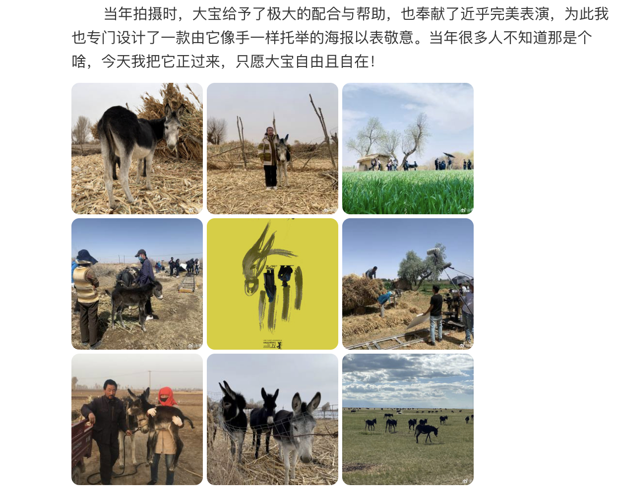 隐入尘烟的驴死了 《隐入尘烟》的驴死了，“宝驴走了，它年近30，家里人都叫它大宝