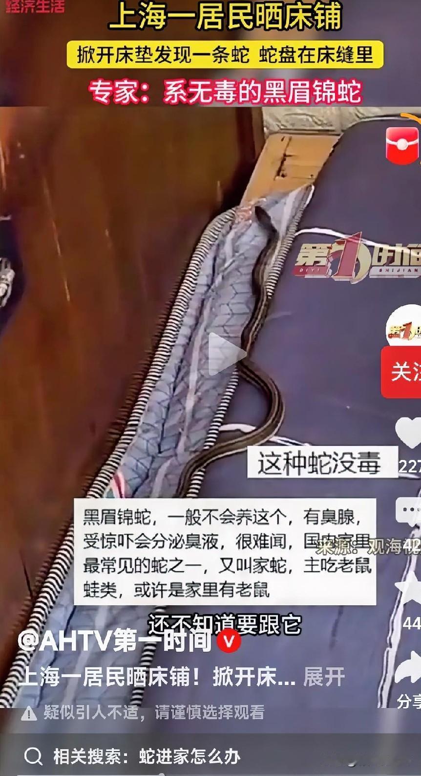 刷到那个居民晒床铺，掀开床垫发现一条蛇的新闻，我整个人鸡皮疙瘩直接起来了。
换我
