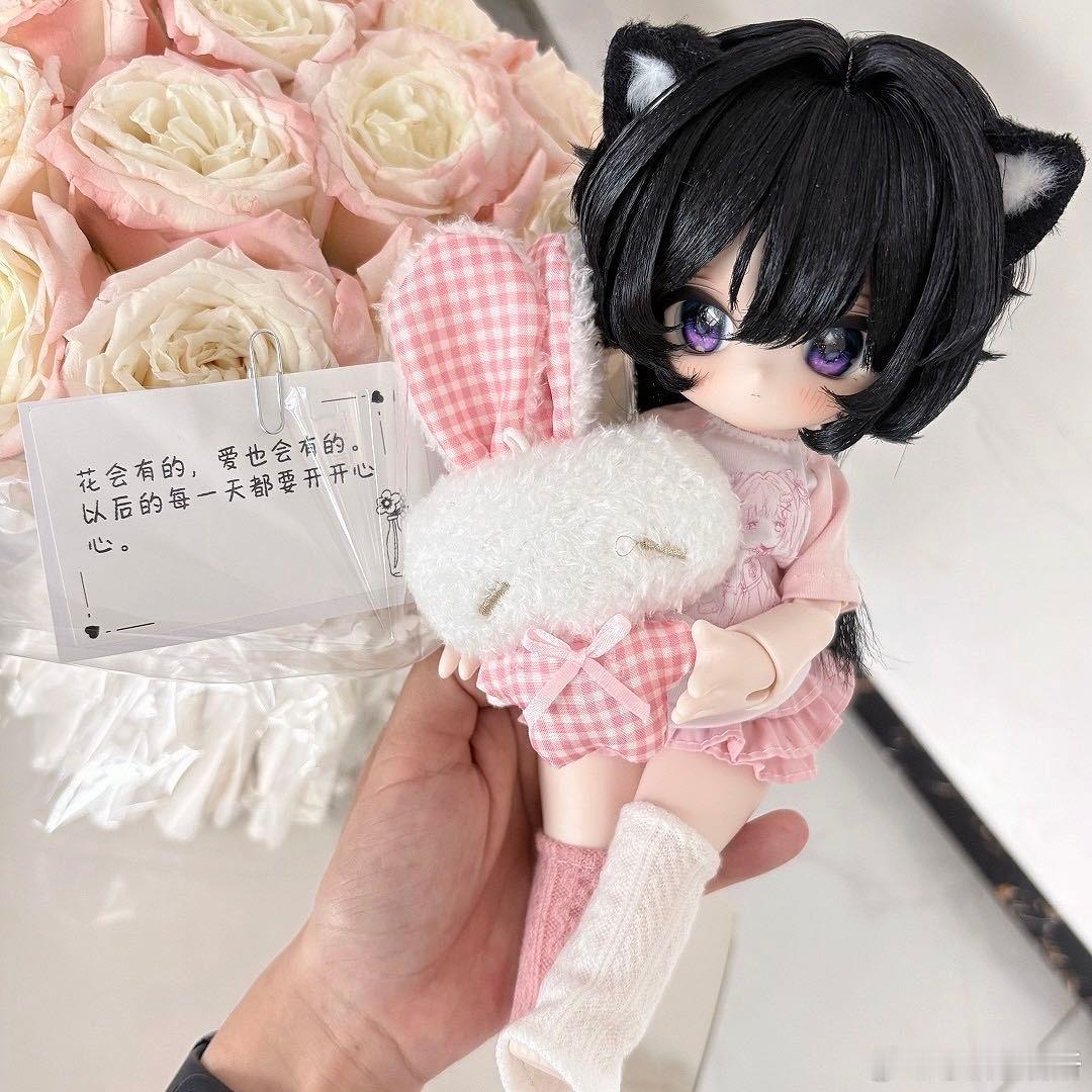 让这只猫陪集嬷过七夕 11681 