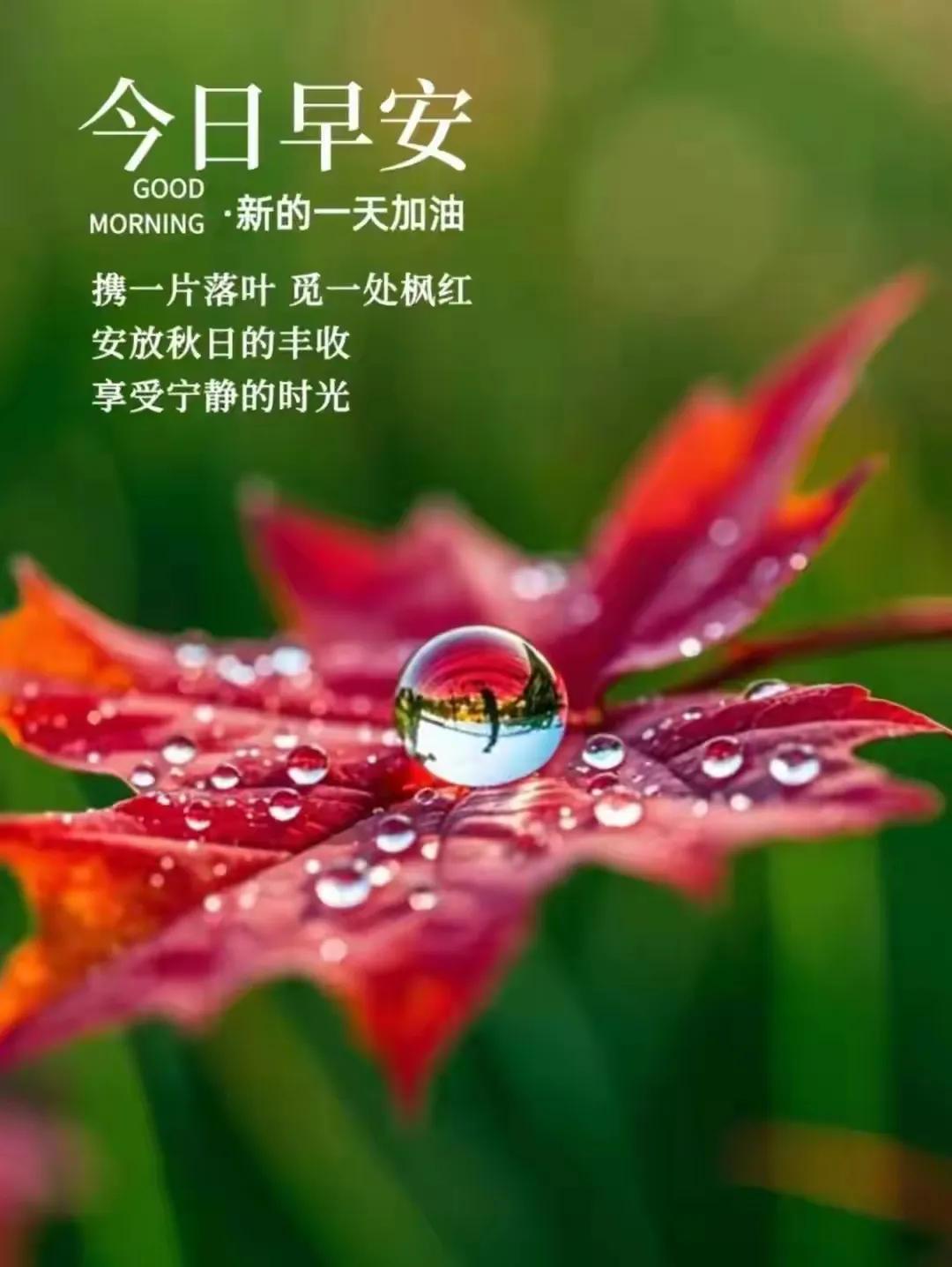 时下，你发达了么。。。
没有！那恭喜你：你还有无限之未来。。。
#论人生成功与否