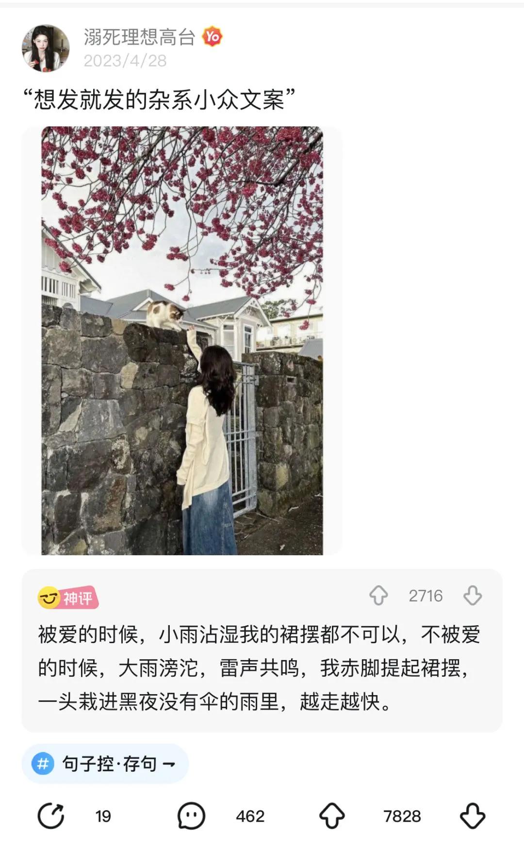 “想发就发的杂系小众文案”#这文案精妙绝伦#