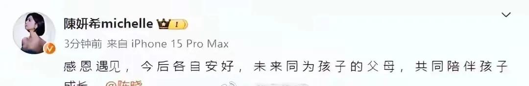 陈晓、陈妍希终于不装了
当初两人结婚时
我就不同意
这不还是散伙了

建议以后明