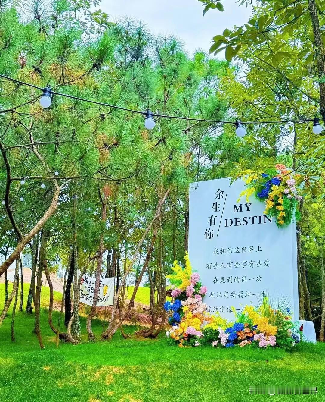 风景不错