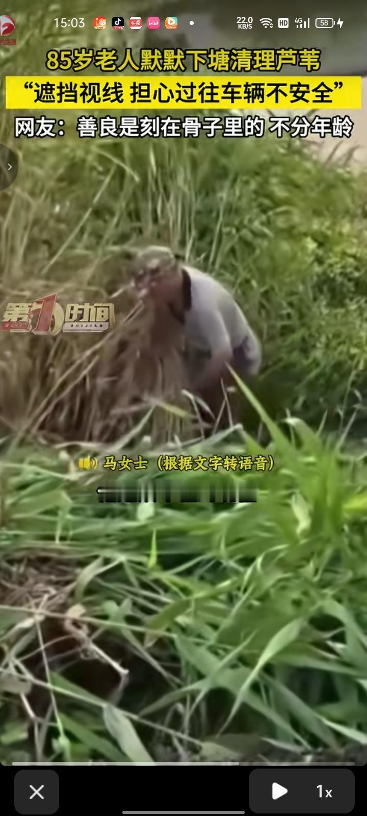 6月10日，安徽宣城。一条弯路转弯处长满芦苇，遮挡了过往车辆的视线，被村里85岁