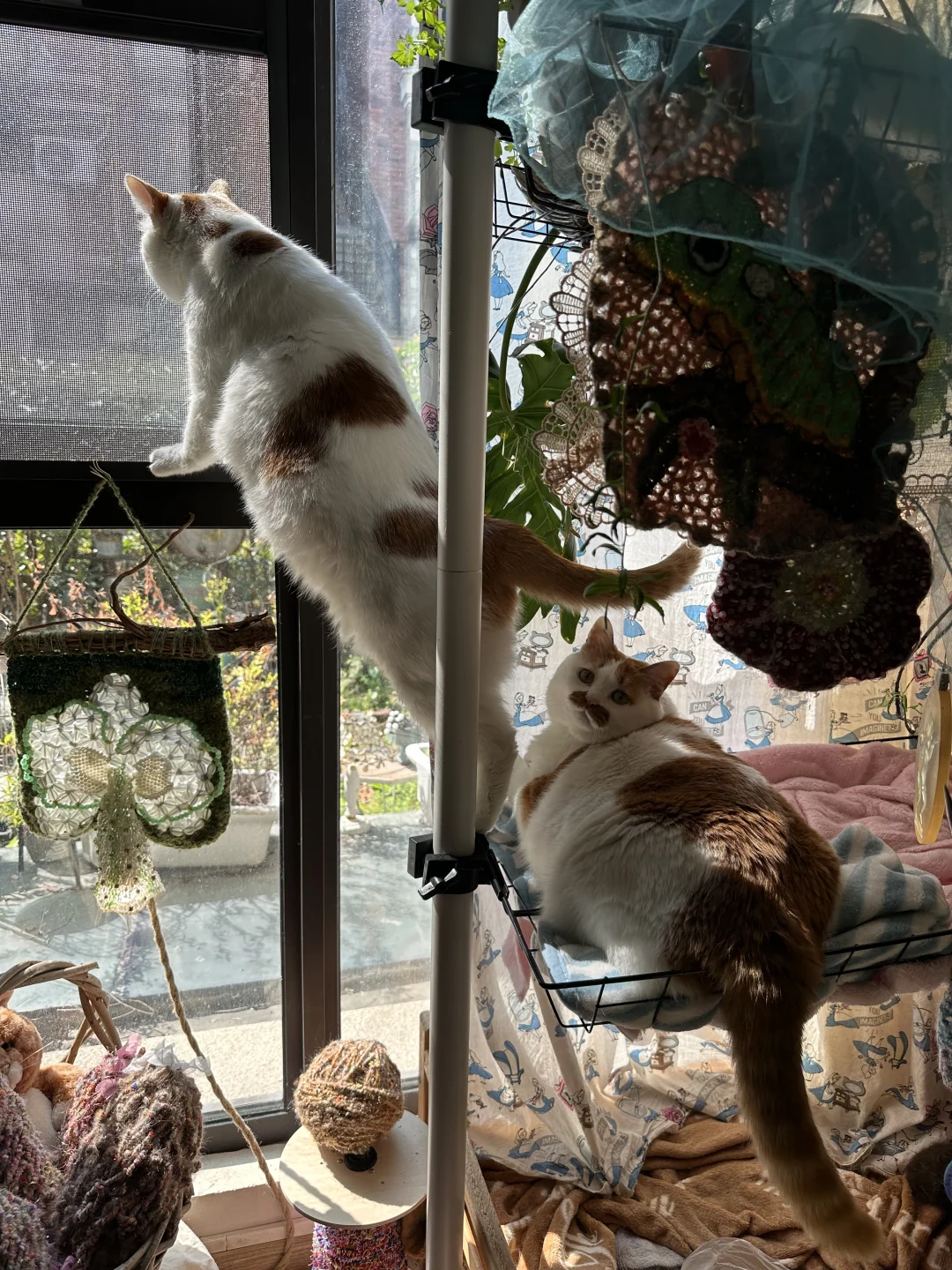 这里不样停车哦