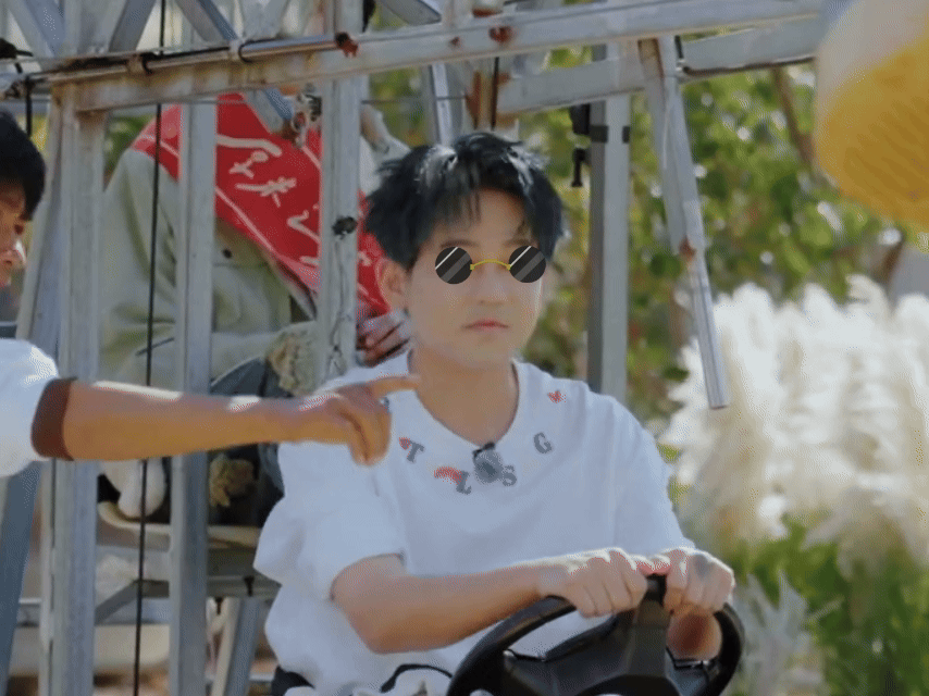 王栎鑫一听苏醒需要小狗就来劲了游戏中苏醒看不见路，王栎鑫秒变“人形导航犬”冲上线