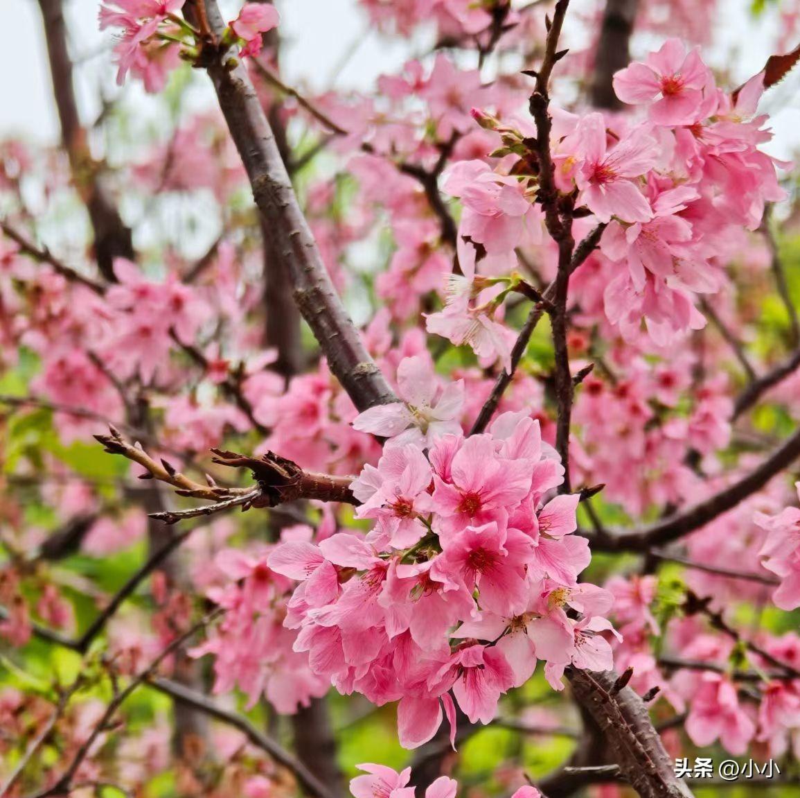 最近满脑子都是赚钱，有什么方法赚到钱呢？

不是有多贪，而是真的明白了，成年人的