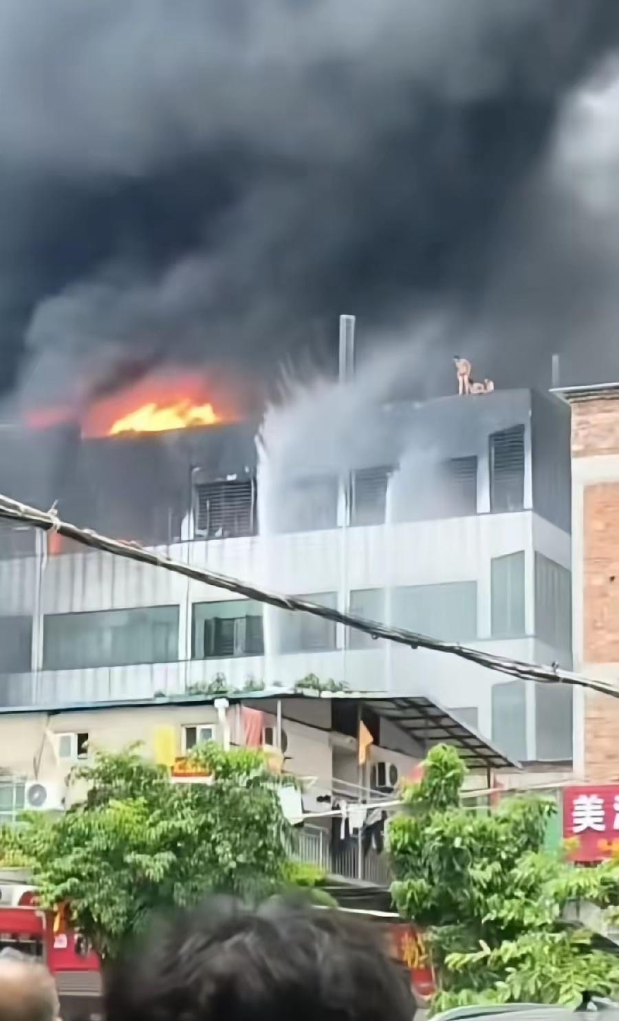 从这张照片看，失火建筑物仅四五层楼的高度，本来云梯车是足足的可以把楼顶的人接出来