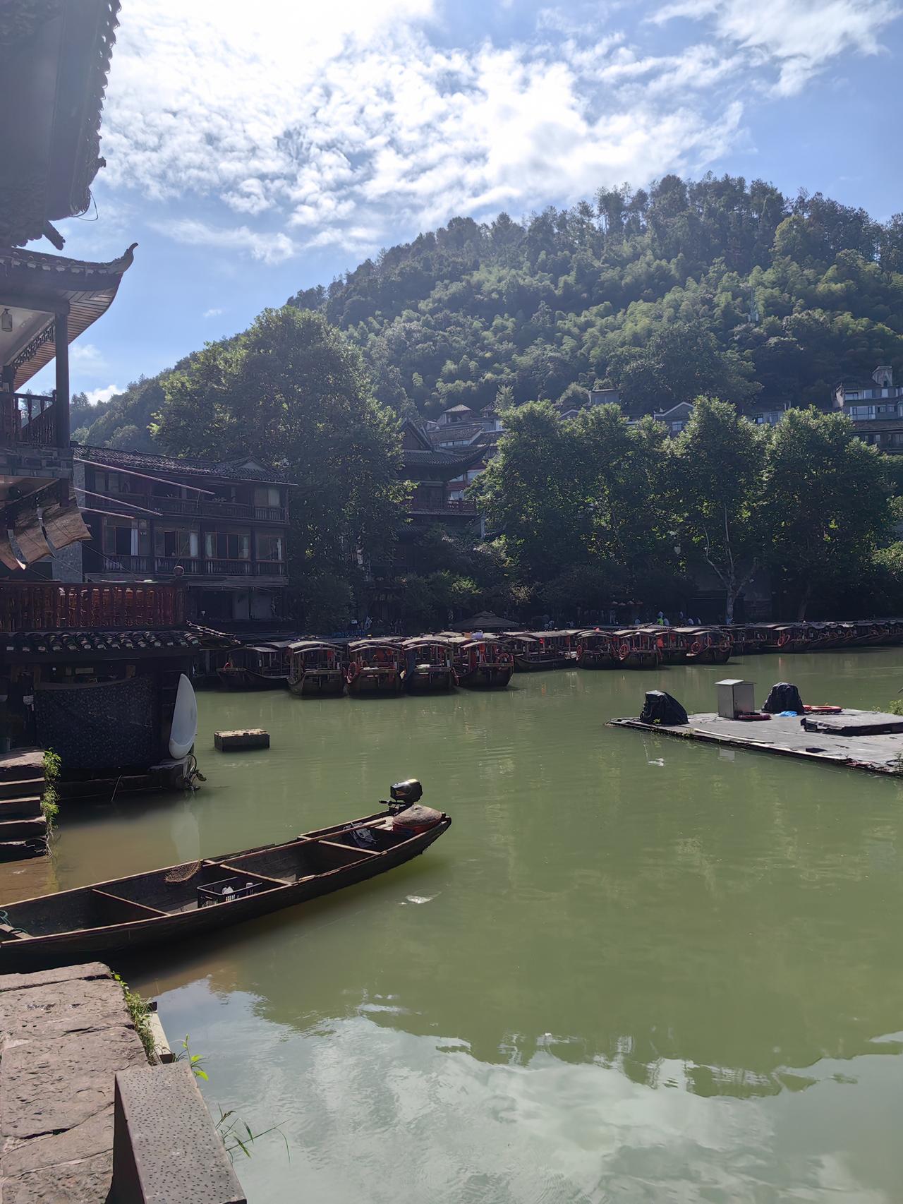 清晨赶在8点前钻进洋湖生态艺术公园，蹲在向日葵花田边拍沾着晨露的金色花盘，扫园区