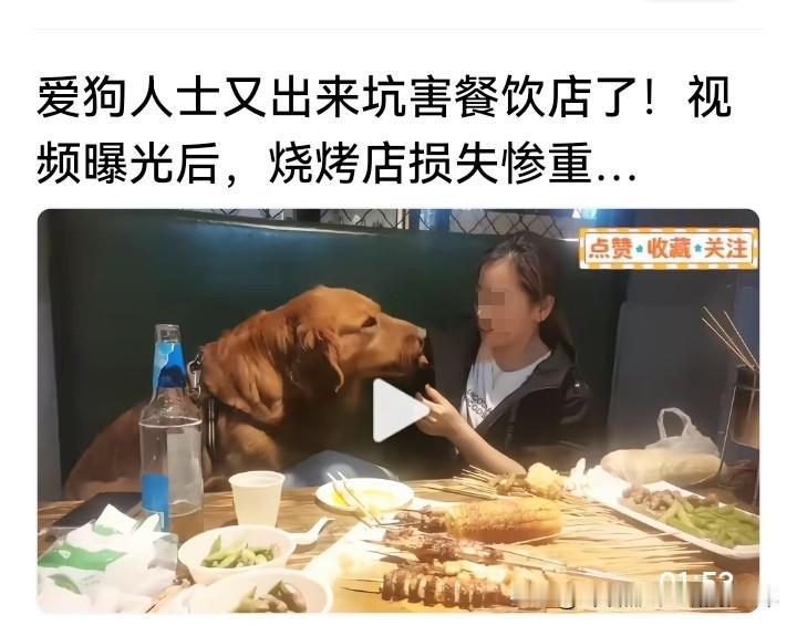有人说，现在狗患成灾啦！

每天都能看到人狗引发的各种矛盾 ：美女穿着平底凉鞋刚