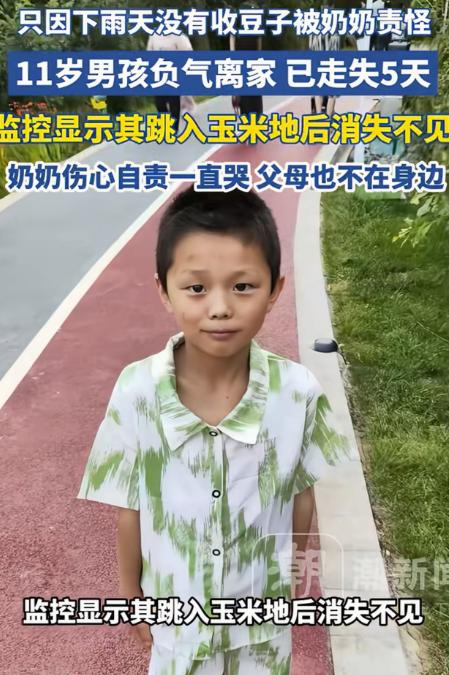 担心的事情还是发生了！云南昭通，11岁男孩因为忘了帮奶奶收豆子，被奶奶痛骂，一赌