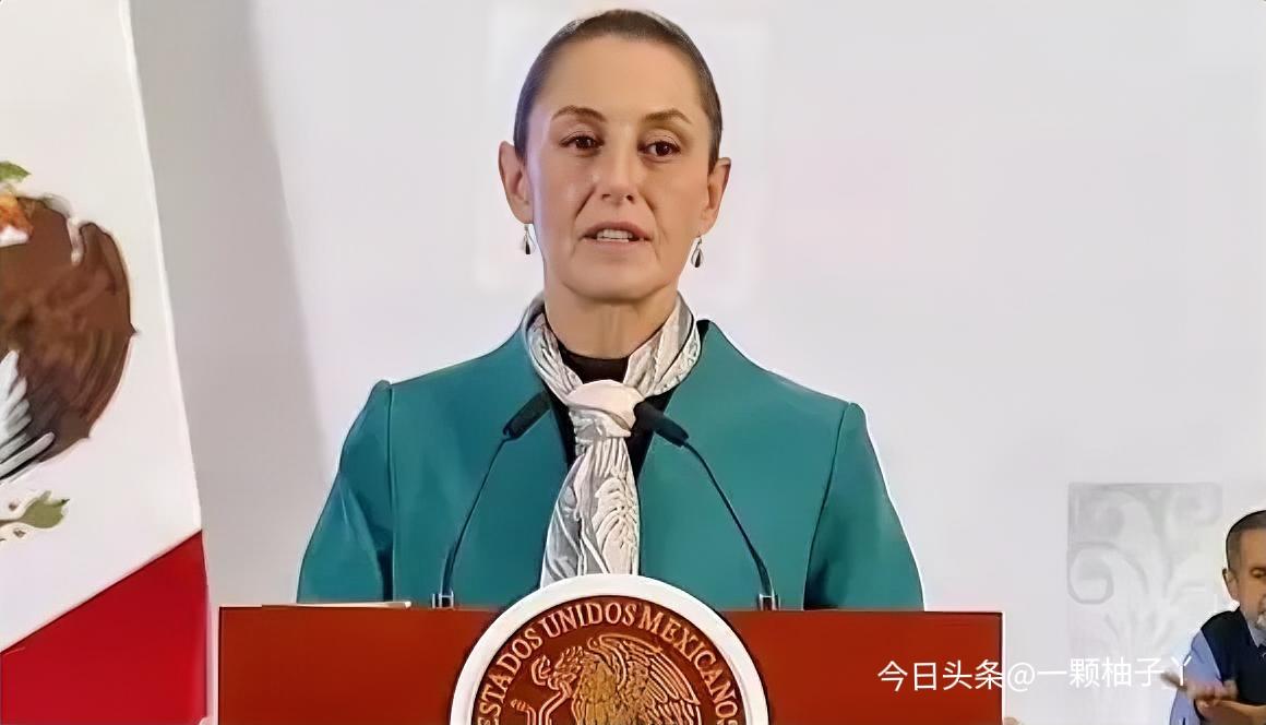 墨西哥众议院上演“一边倒”投票，281票赞成碾压24票反对，通过了对华加税法案，