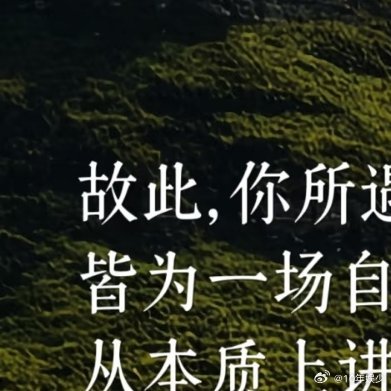 你所遇的任何困扰与忧心， 皆为一场自我的审视与成长。 从本质上讲，除了肉体的生老