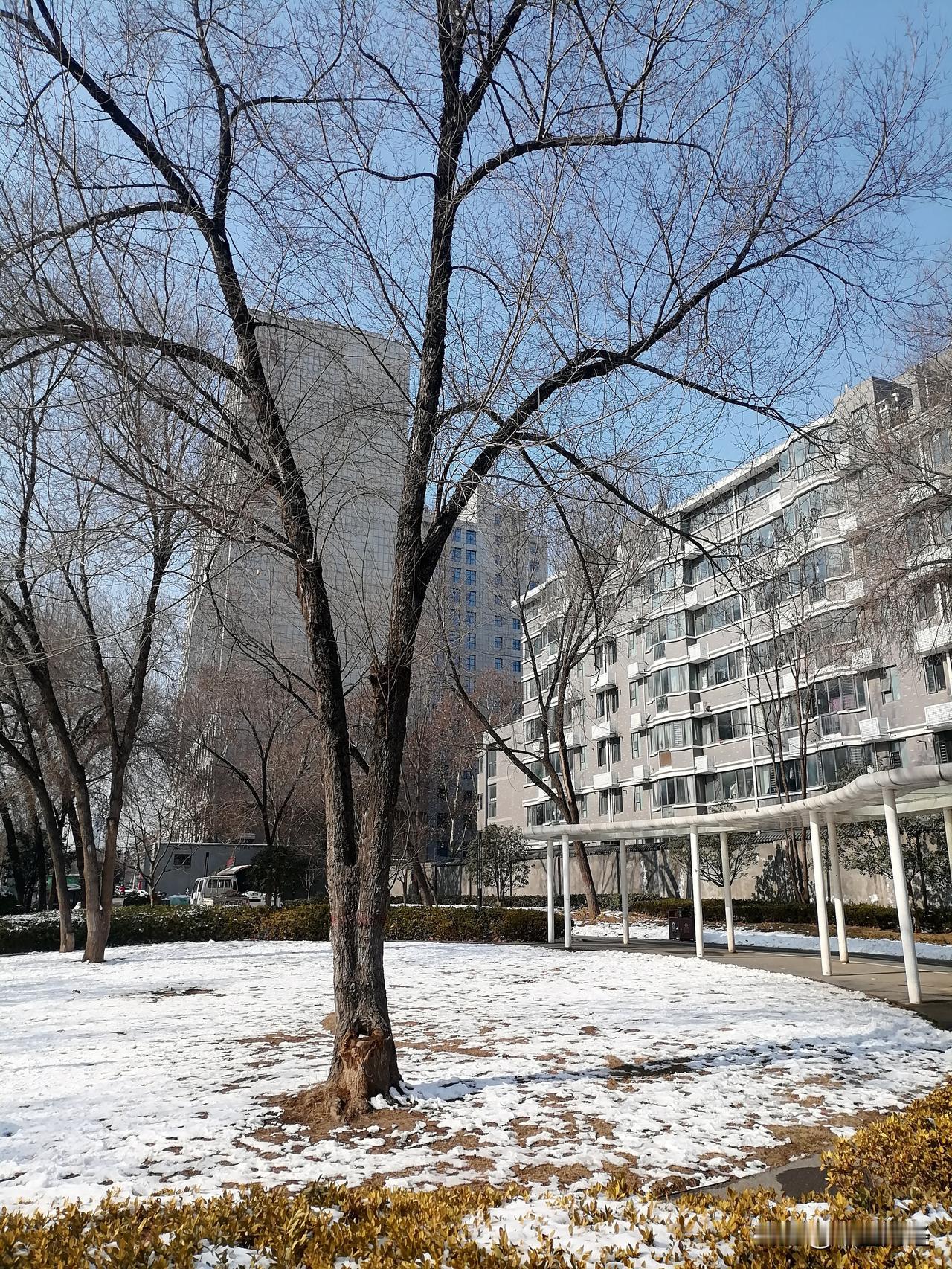 晒出你们城市的天气