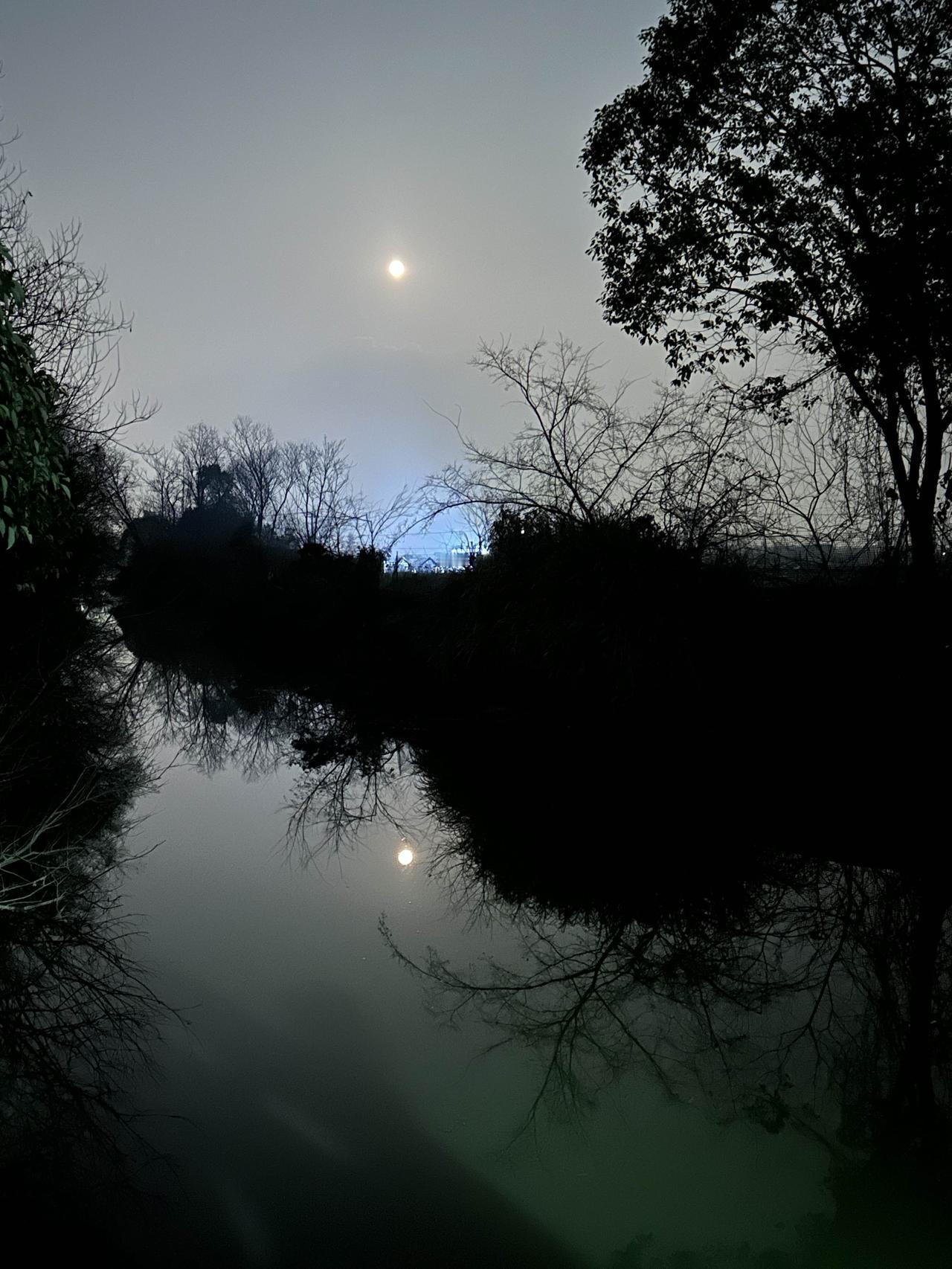 寄唐霞

腊月十五月如银，
我摘清辉寄远人。
浙水映轮千里共，
遥思齐鲁待霞春。