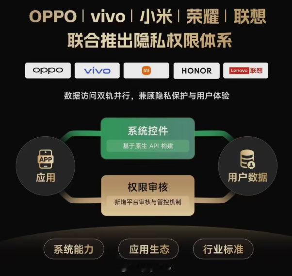 厂商联手搞个统一的隐私权限体系确实不错，能更好地保护用户隐私。不过话说回来，应用