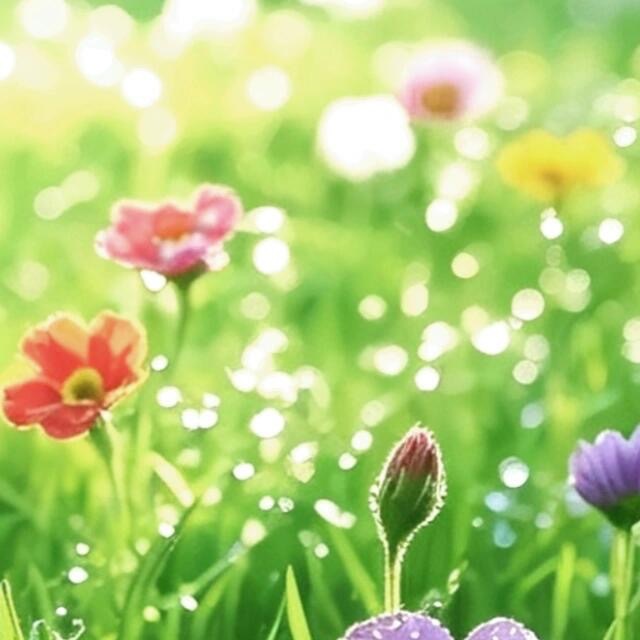 森林驿站  💫阳光信用  💫森林驿站 有时候生活的曲折会让我们感觉到手足无措