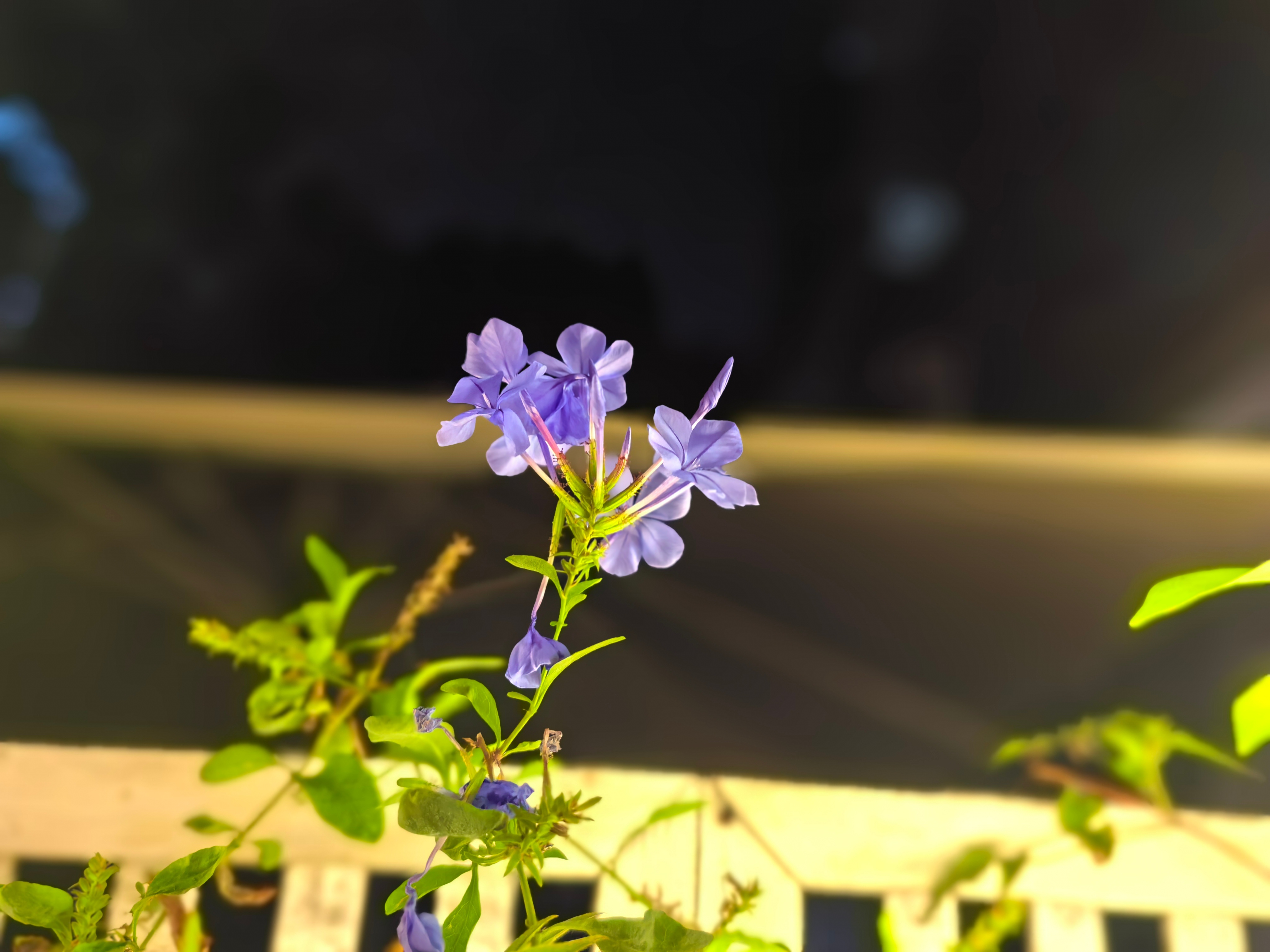 蚕食重视执行力的能量……(一)在某个角度，大多数人都容易高估自己一年能完成的事情