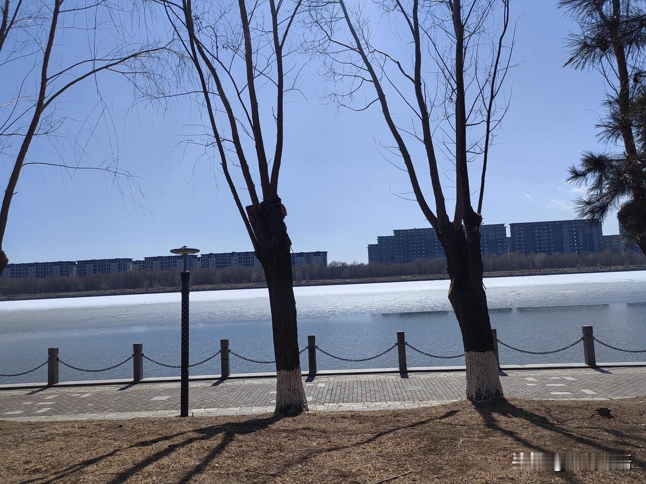 今天去理发店剪头发，顺手我也做了一件小小的善事。

两个月前烫了头发，这一晃挺长