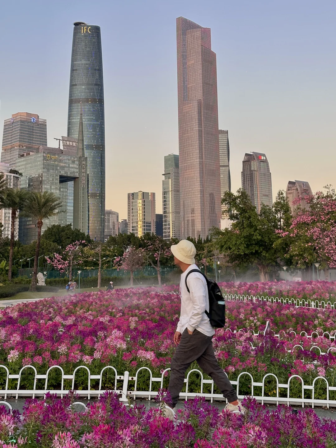 广州宏城公园又又换新皮肤啦🌸11.29实拍