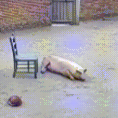 立刻执行 ​​​