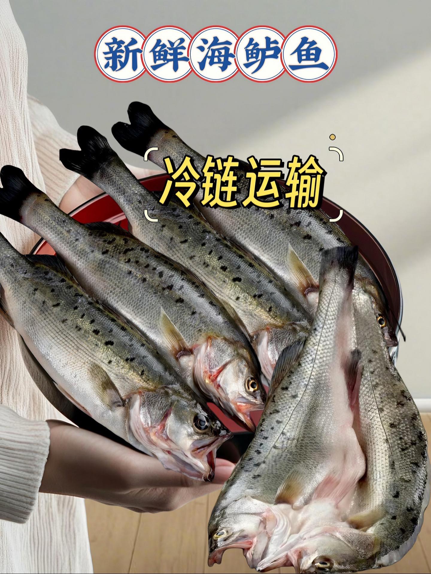 这个开背海鲈鱼真的是太好吃了！新鲜冷冻的深海七星鲈鱼，每条600g，肉...